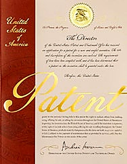 Pioneer Concepts U.S. Patent 5